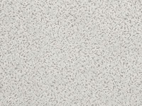 Sapo Wallcovering